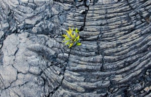 Titelbild Resilenz Whitepaper_2-Oct-26-2022-08-23-06-0940-AM