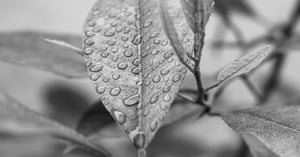 liz-breygel-HSr_FUzDH2w-unsplash-small Kopie-1